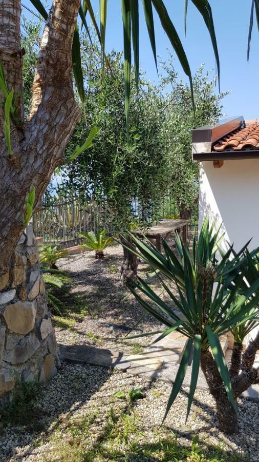 Willa Piccola Casa Con Giardino San Remo Zewnętrze zdjęcie